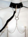 Collar And Leash Nipplace